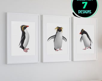 Rockhopper Penguin Art Prints Antarctic Bird Coastal Wildlife Home Office Decor Unique Penguin Lover Illustration Wall Art Set of 7