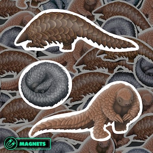 Pangolin Magnet Set Waterproof Vinyl Animal Magnets for Refrigerator Wildlife Kitchen Decor For Pangolin Lover Gift