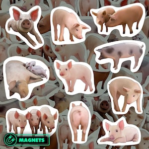 Pig Magnet Set Farm Animal Refrigerator Magnets Cute Piggy Kitchen Decoration Waterproof Vinyl Decal Gift for Animal Lover