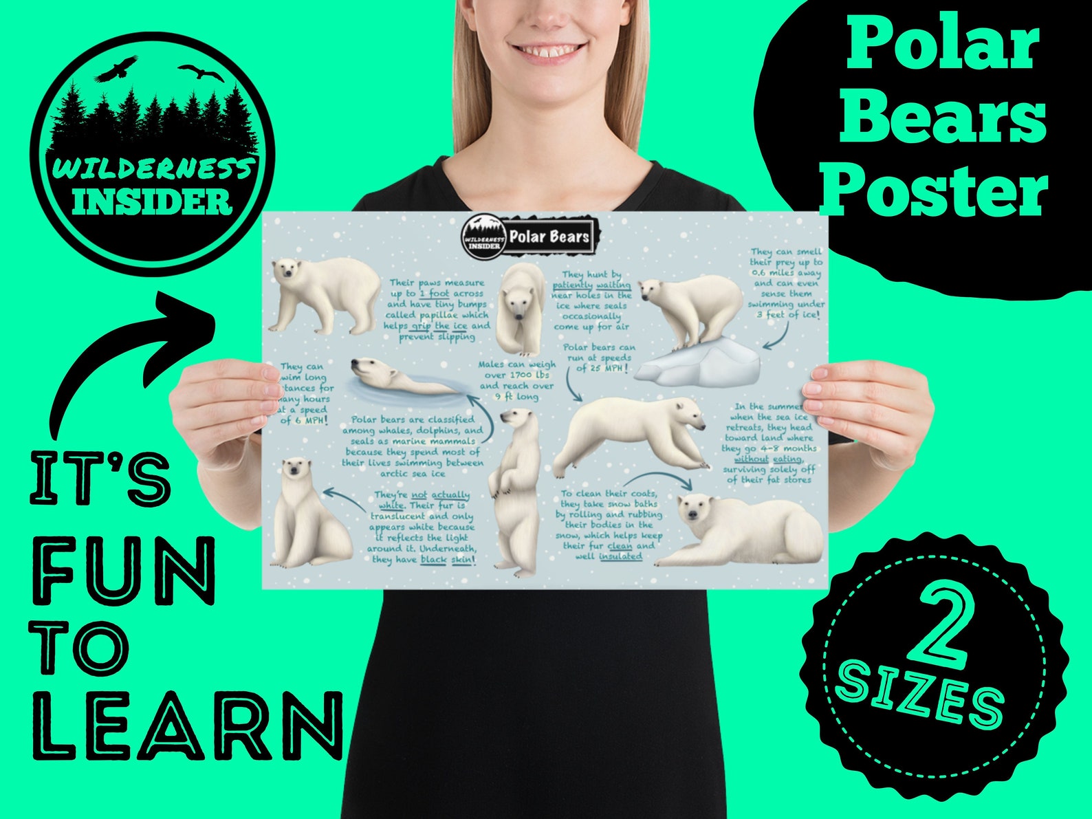 Polar Bears Educational Poster Fun Wildlife Facts for Kids | Etsy
