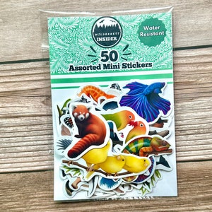 Animal Sticker Pack Assorted Waterproof Vinyl Decals Gift for Nature ...