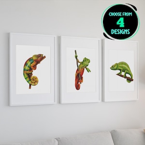 Chameleon Art Print Set Colorful Reptile Wall Decor Modern Chameleon Illustration Wildlife Artwork Gift for Herpetologist Set of 4