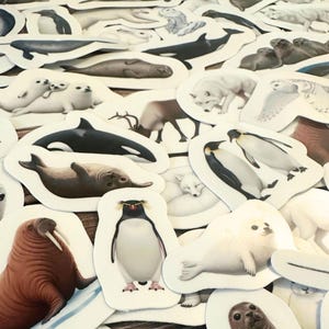 May include: A collection of animal stickers featuring various arctic and marine creatures. The stickers include a walrus, penguins, seals, a killer whale, arctic foxes, and a snowy owl. The stickers are white with a white border.