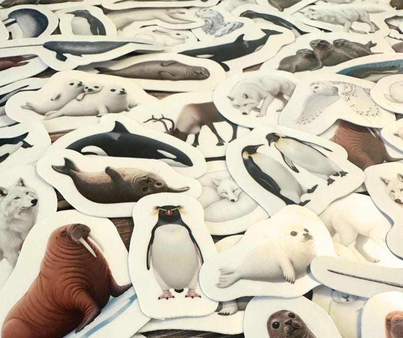 May include: A collection of animal stickers featuring various arctic and marine creatures. The stickers include a walrus, penguins, seals, a killer whale, arctic foxes, and a snowy owl. The stickers are white with a white border.