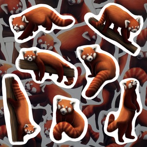 Pacote de adesivos de panda vermelho, decalques de vinil de animais adoráveis, adesivos à prova d'água para entusiastas da vida selvagem, presente para amantes de panda vermelho, decoração para garrafa
