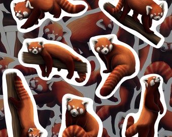 Red Panda Sticker Pack Adorable Animal Vinyl Decals Waterproof Stickers For Wildlife Enthusiast Gift For Red Panda Lover Decor for Bottle