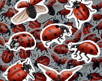 Lady Bug Magnet Set Waterproof Vinyl Insect Magnets for Refrigerator Garden Kitchen Decor Gift for Ladybug Lover