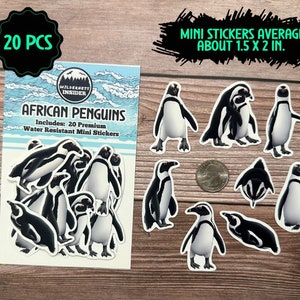 African Penguin Sticker Pack Waterproof Vinyl Decal Beach Wildlife Stationery Gift For Penguin Lover Sticker Set For Water Bottle Laptop image 4