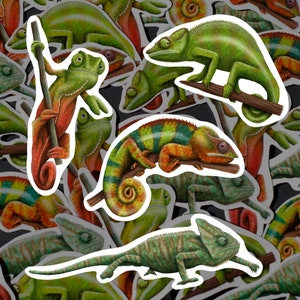 Chameleon Sticker Pack Reptile Decals Colorful Lizard Waterproof Vinyl Chameleon Lover Gift Jungle Animal Stationery Rainforest Decor