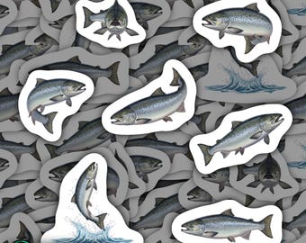 Salmon Magnets Vinyl Aquatic Decor Kitchen Gifts Magnetic Fish Ornaments Wildlife Enthusiasts Sea Life Gift for Seafood Lover Water Bottle