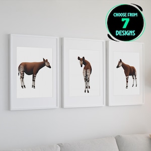 Okapi Art Prints African Giraffe Home Decor Jungle Safari Wildlife Illustration Wall Art Exotic Mammal Poster Gift for Animal Lover Set of 7
