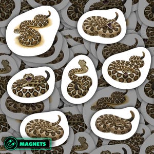 May include: A collection of die-cut magnets featuring illustrations of rattlesnakes in various coiled and striking poses. Each snake has brown and tan diamond-patterned scales, and some are depicted with open mouths showing fangs.