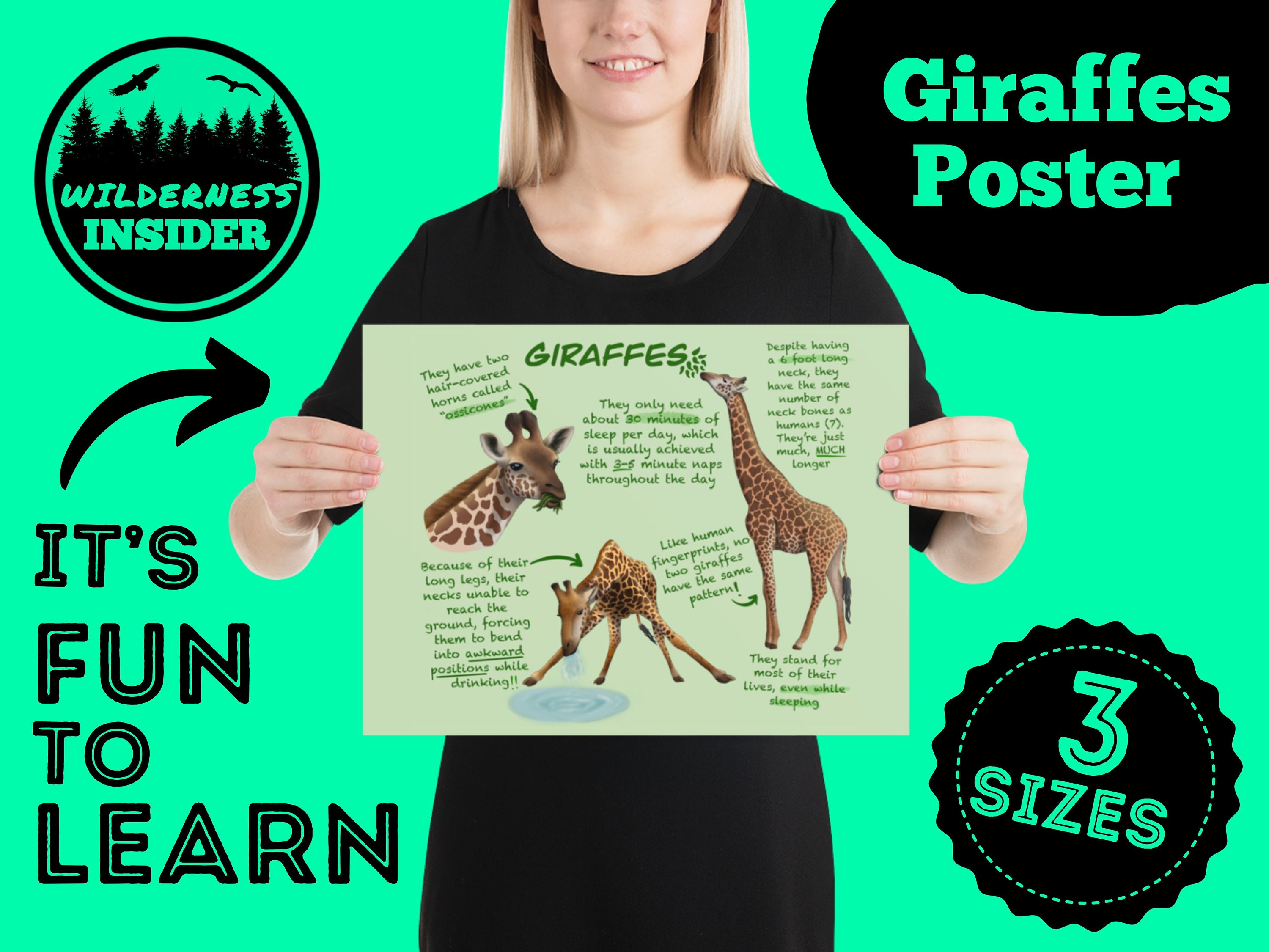 Giraffes Educational Poster Wildlife Fun Facts for Kids and Etsy