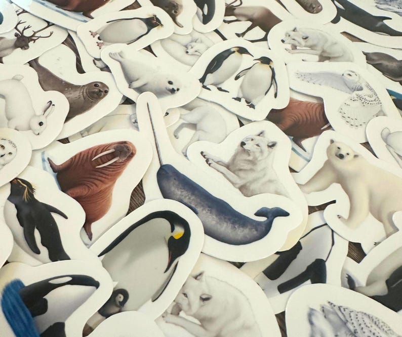 May include: A collection of die-cut stickers featuring various arctic animals. The stickers include a polar bear, penguins, a walrus, a narwhal, seals, and arctic wolves. The stickers are white with a white border and are scattered across the image.