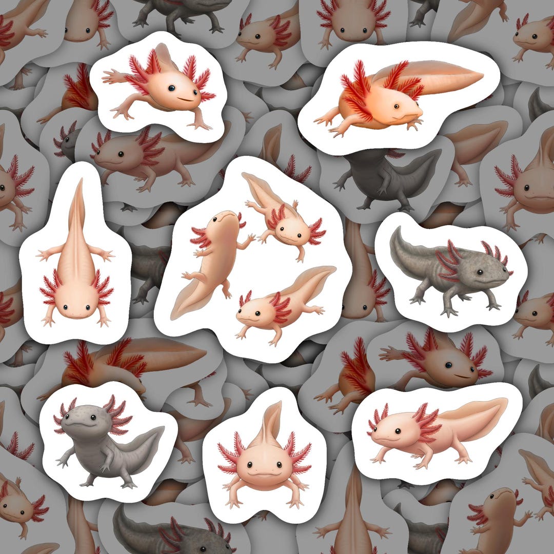 Axolotl Stickers Waterproof Vinyl Decals Cute Amphibian Gift for ...