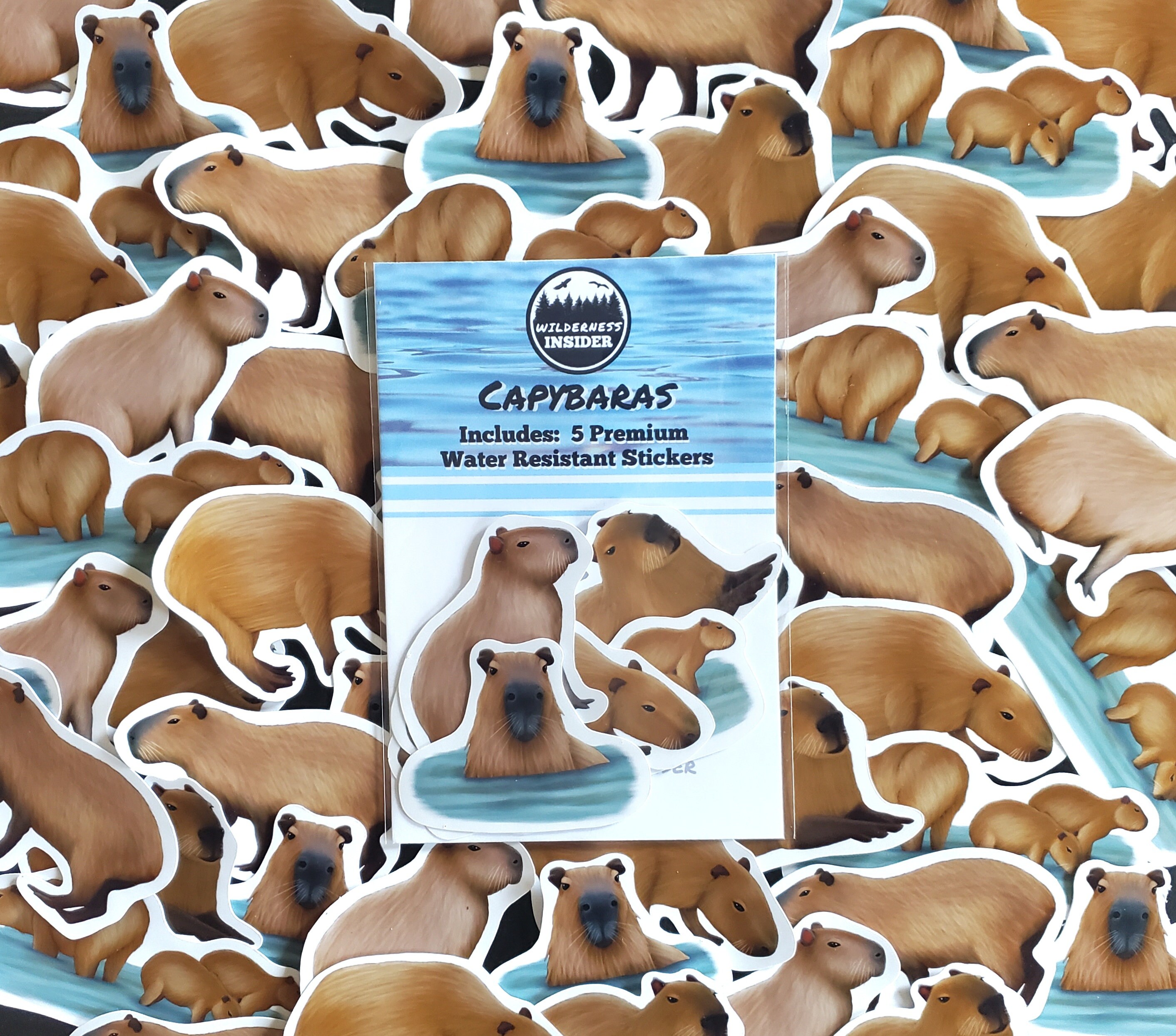 Capybara Sticker Pack South American Rodent Decals Waterproof Vinyl ...