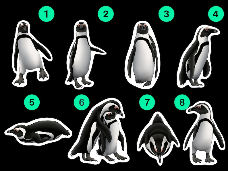 African Penguin Sticker Pack Waterproof Vinyl Decal Beach Wildlife Stationery Gift For Penguin Lover Sticker Set For Water Bottle Laptop image 9