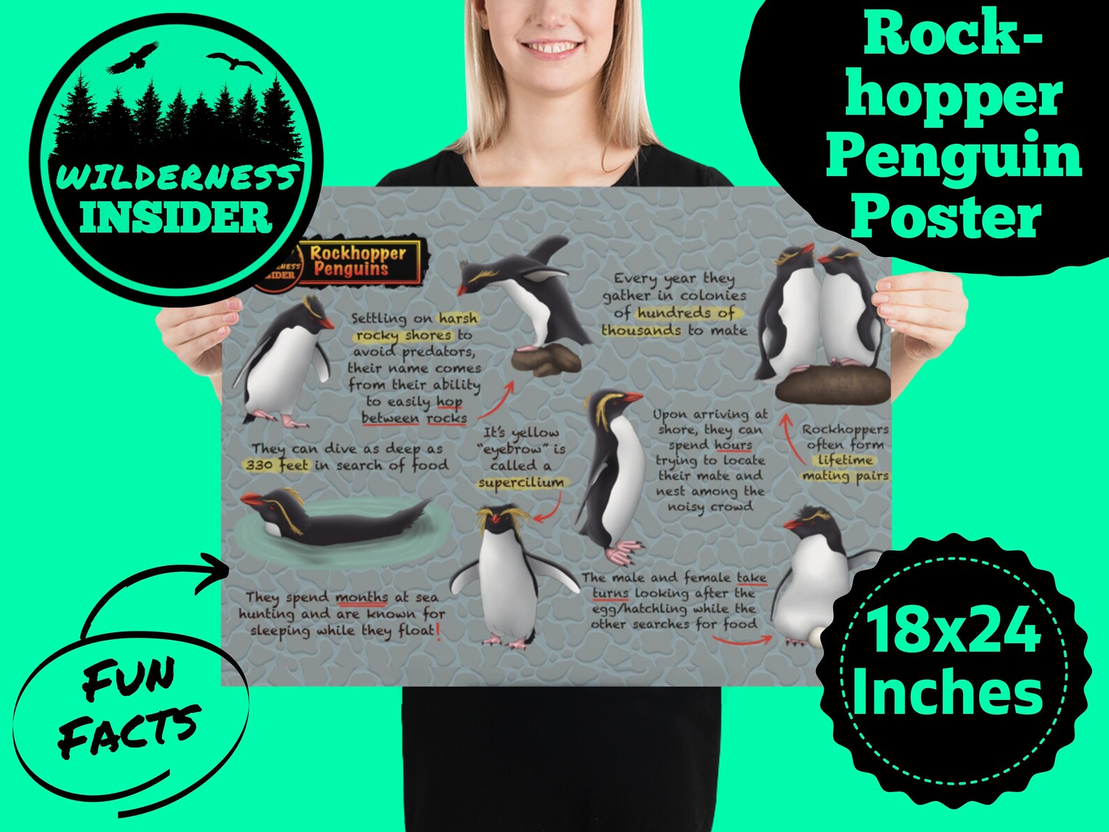 Rockhopper Penguins Educational Poster Fun Wildlife Facts for | Etsy