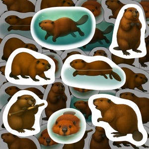 Adesivi Castoro in Vinile, Decalcomanie Impermeabili, Articoli di Cancelleria Regalo per Appassionati di Fauna Selvatica, Confezione di Adesivi Castoro per Scrapbooking, Decorazioni per Bottiglie d'Acqua