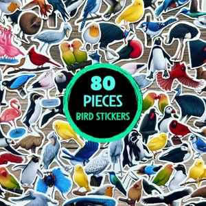 Adesivos de pássaros variados, pacote de mini adesivos, papelaria de vida selvagem, adesivos de vinil à prova d'água, decalques de pássaros de vinil, 80 unidades