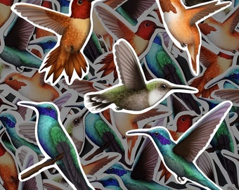 Pacote de adesivos de beija-flor, decalques florais de pássaros, vinil à prova d'água, presente para entusiastas de beija-flores, arte aviária para scrapbooking, garrafa de água para laptop