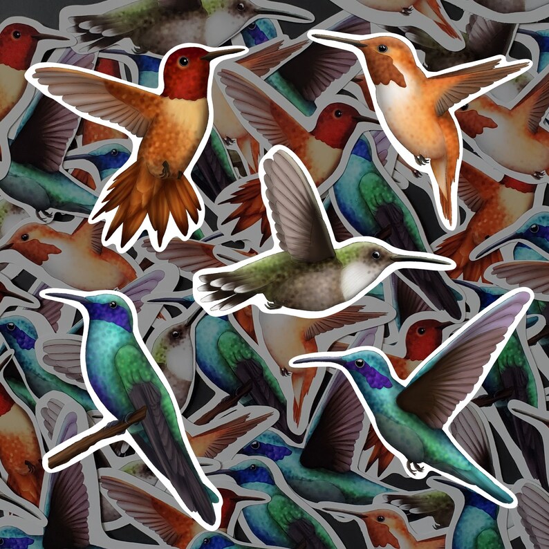 Hummingbird Sticker Pack Floral Bird Decals Waterproof Vinyl Humming ...