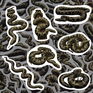 May include: A set of 10 colorful stickers featuring a repeating pattern of brown and black snakes on a white background. The stickers are perfect for adding a touch of nature to your laptop, water bottle, or planner.