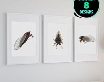 Könnte beinhalten: Drei weiße gerahmte Drucke von Zikaden-Illustrationen. Die Zikaden sind in Schwarz, Weiß und Rot dargestellt. Die Drucke hängen an einer weißen Wand.