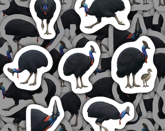 Pode incluir: Uma coleção de autocolantes com ilustrações de casuares. Os autocolantes retratam as grandes aves não voadoras em várias poses, mostrando a sua plumagem preta, pescoços azuis e barbela vermelha. Alguns autocolantes incluem um pintainho.