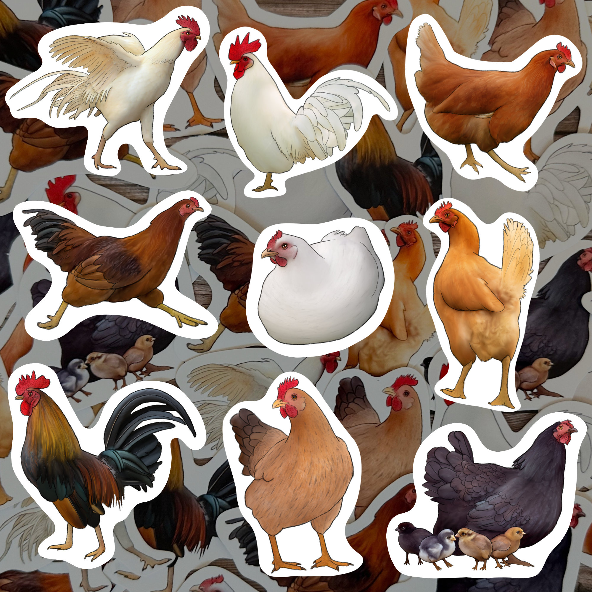 Chicken Sticker Pack, Farmhouse Decor, Hen and Chicks Vinyl Decals - Etsy