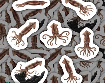 Squid Magnets Waterproof Vinyl Kitchen Decor Magnetic Cephalopod Gift for Marine Life Enthusiasts Ocean Wildlife Fridge Decor Seafood Lover