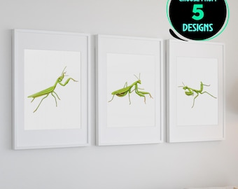 Ensemble d'impressions d'art de mante religieuse, illustration d'insectes, décoration murale d'art entomologie, décoration de salle d'étude de mante religieuse moderne, impression de nature, lot de 5