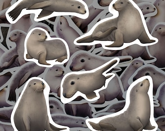 Sea Lion Sticker Pack Waterproof Vinyl Decal Marine Mammal Stationery Gift For Marine Biologist Sticker Set For Water Bottle Laptop Journal