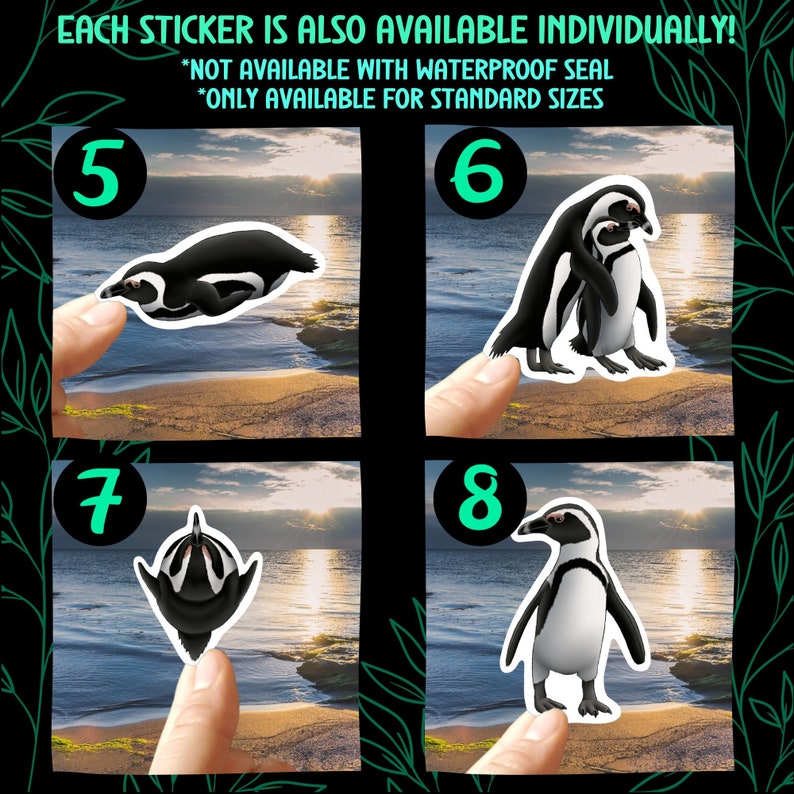African Penguin Sticker Pack Waterproof Vinyl Decal Beach Wildlife Stationery Gift For Penguin Lover Sticker Set For Water Bottle Laptop image 6