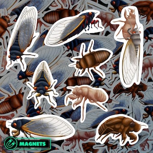 Cicada Magnet Set Waterproof Vinyl Insect Magnets for Refrigerator Nature Inspired Kitchen Decor Gift for Entomology Lover