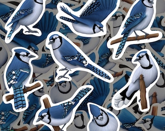 Blue Jay Magnet Set Waterproof Vinyl Blue Bird Magnets for Refrigerator Avian Kitchen Decor Birdwatching Gift for Bluejay Lover