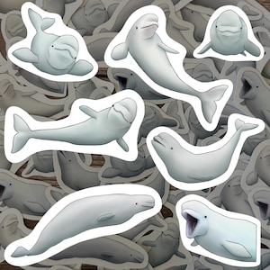 Beluga Whale Sticker Pack Arctic Marine Mammal Vinyl Decal Ocean Animal Waterproof Sticker Gift for Whale Lover Beluga Stickers for Bottle