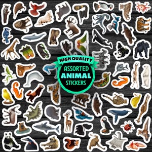 May include: A collection of assorted animal stickers with white borders, including a giraffe, tiger, and panda, arranged on a dark wood-grain surface. The stickers are labeled "HIGH QUALITY ASSORTED ANIMAL STICKERS".