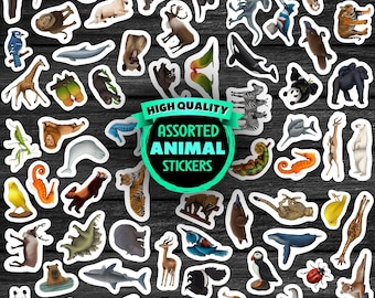 Animal Sticker Pack Assorted Waterproof Vinyl Decals Gift For Wildlife Lover Stationery for Nature Scrapbook Zoo Stickers Stocking Stuffer
