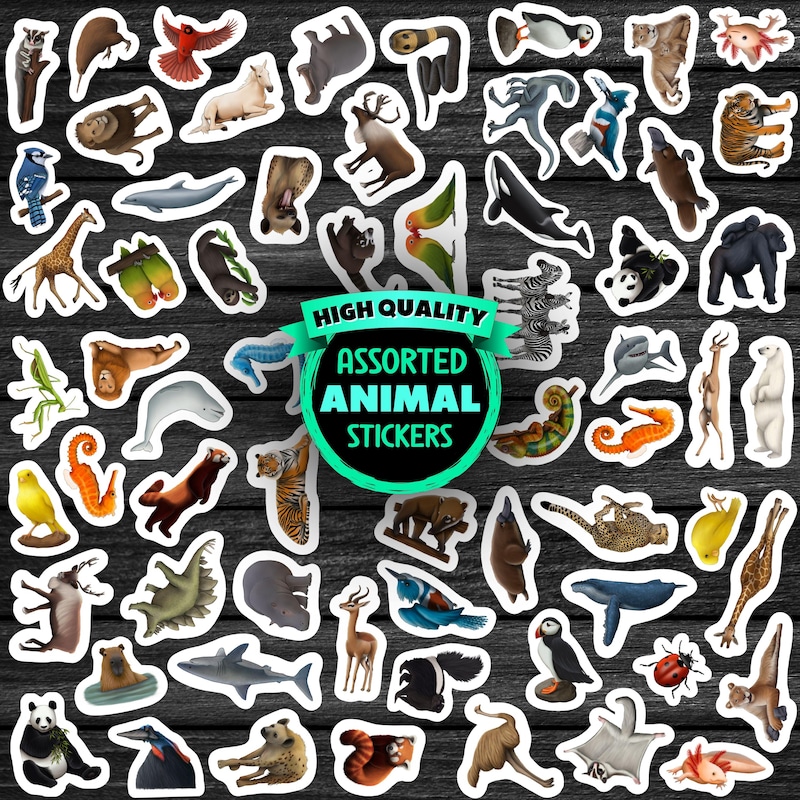 Assorted Kid Stickers - Etsy