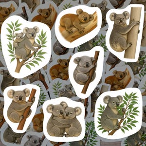 Koala Stickers Vinyl Decals Waterproof Wildlife Gift for Animal Lovers Australian Mascot Sticker Pack for Water Bottle Laptop Decor