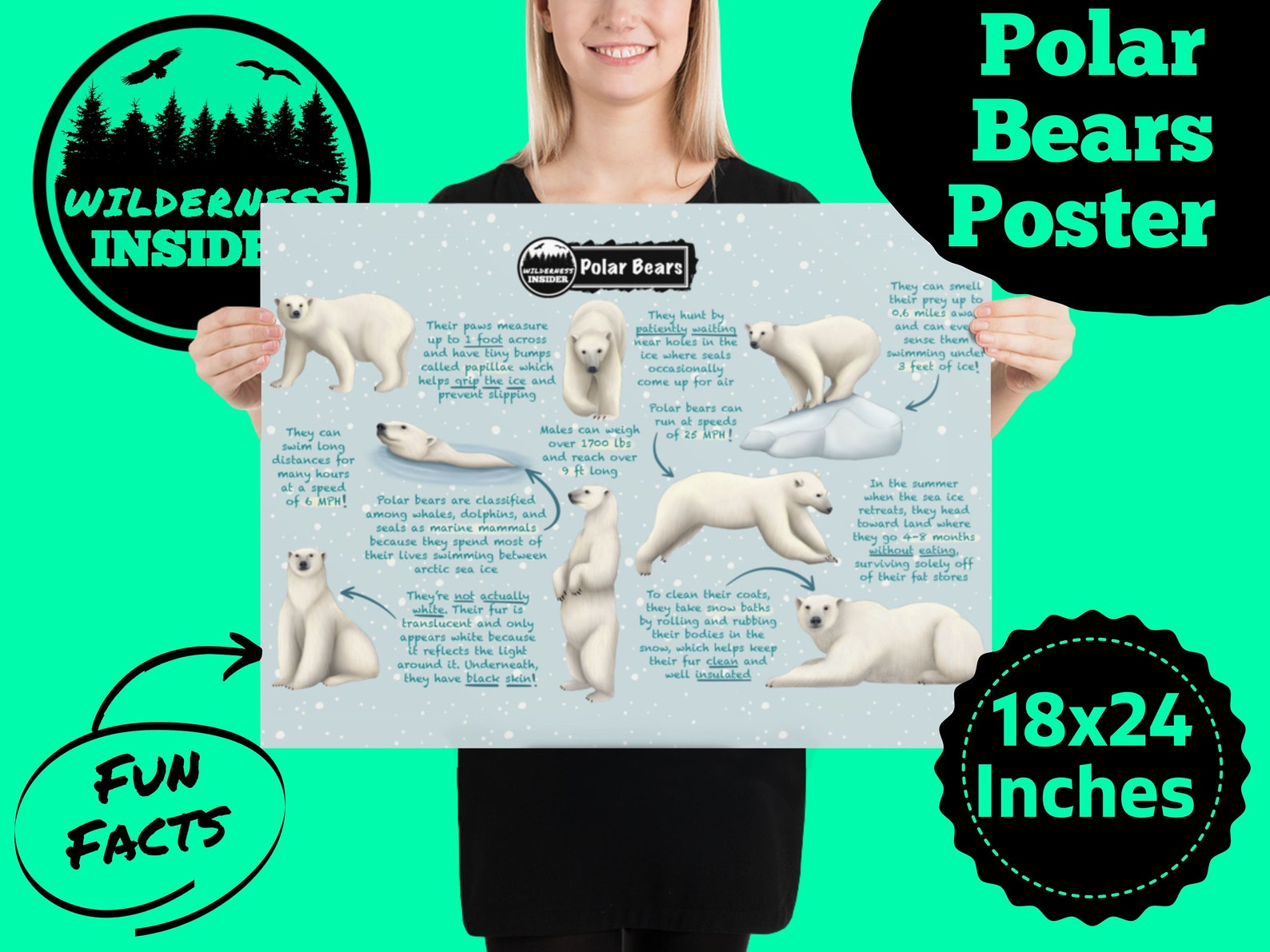 Polar Bears Educational Poster Fun Wildlife Facts for Kids | Etsy