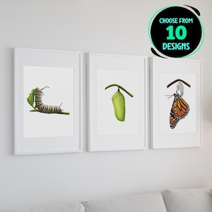 Monarchfalter Schmetterling Druck Set Lebenszyklus Illustration Insekt Wand Dekor Natur Kunstwerk Orange Schmetterling Lebenszyklus Poster Set von 10