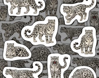 Snow Leopard Stickers Vinyl Decals Waterproof Wildlife Stationery Gift for Big Cat Lovers Snow Leopard Pack for Water Bottle Laptop