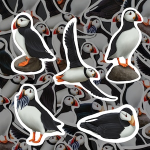 Puffin Sticker Pack UK Bird Decals Waterproof Vinyl Puffin Lover Gift For Bird Watcher Stationary Iceland Bird Themed Decor For Bottle