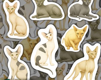 Puede incluir: Una colección de pegatinas de gatos Sphynx en varias poses y colores, incluyendo crema, gris y blanco con manchas grises oscuras. Las pegatinas tienen un borde blanco y la palabra "MAGNETS" es visible en un recuadro verde.
