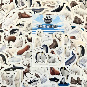 May include: A collection of Arctic animal stickers, including polar bears, penguins, seals, and whales. The stickers are white-bordered and feature various animals in a variety of poses. A central card reads "Arctic Animals" with a mountain and water scene.