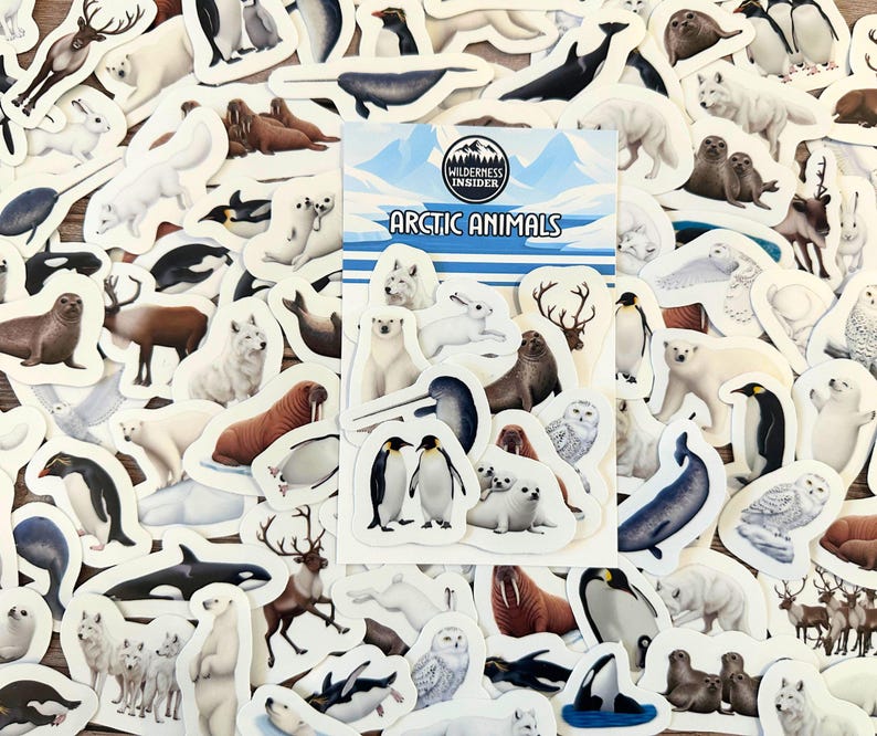 May include: A collection of Arctic animal stickers, including polar bears, penguins, seals, and whales. The stickers are white-bordered and feature various animals in a variety of poses. A central card reads "Arctic Animals" with a mountain and water scene.