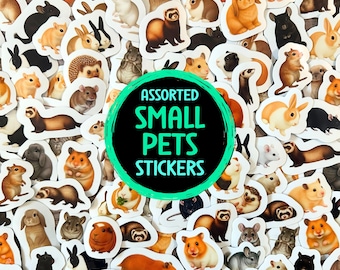 Pacote de adesivos variados para pequenos animais de estimação, hamster, porquinho-da-índia, coelho, rato, furão, conjunto de adesivos de vinil para pais de pequenos animais de estimação, presente à prova d'água para amantes de animais