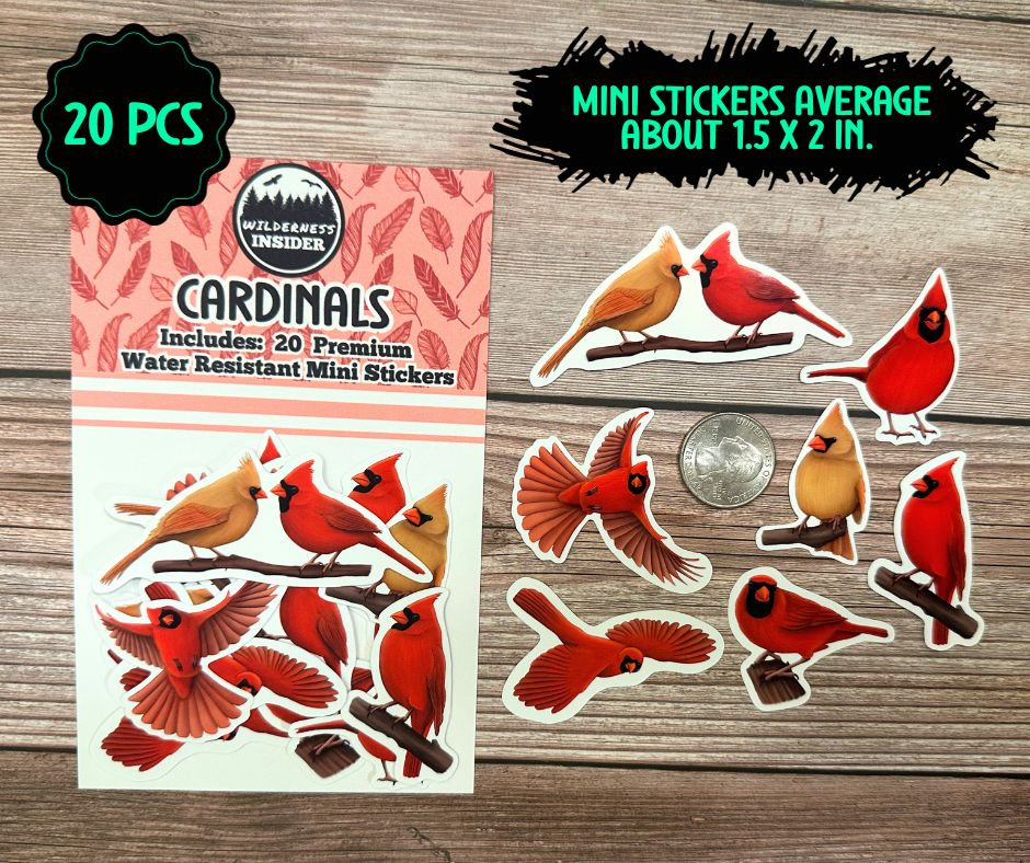 Cardinal Sticker Set Red Bird Decals Birdwatcher Gift Waterproof Vinyl ...